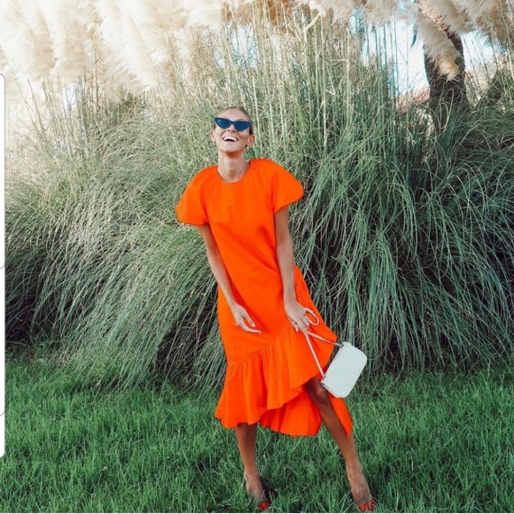 NWT Zara dress